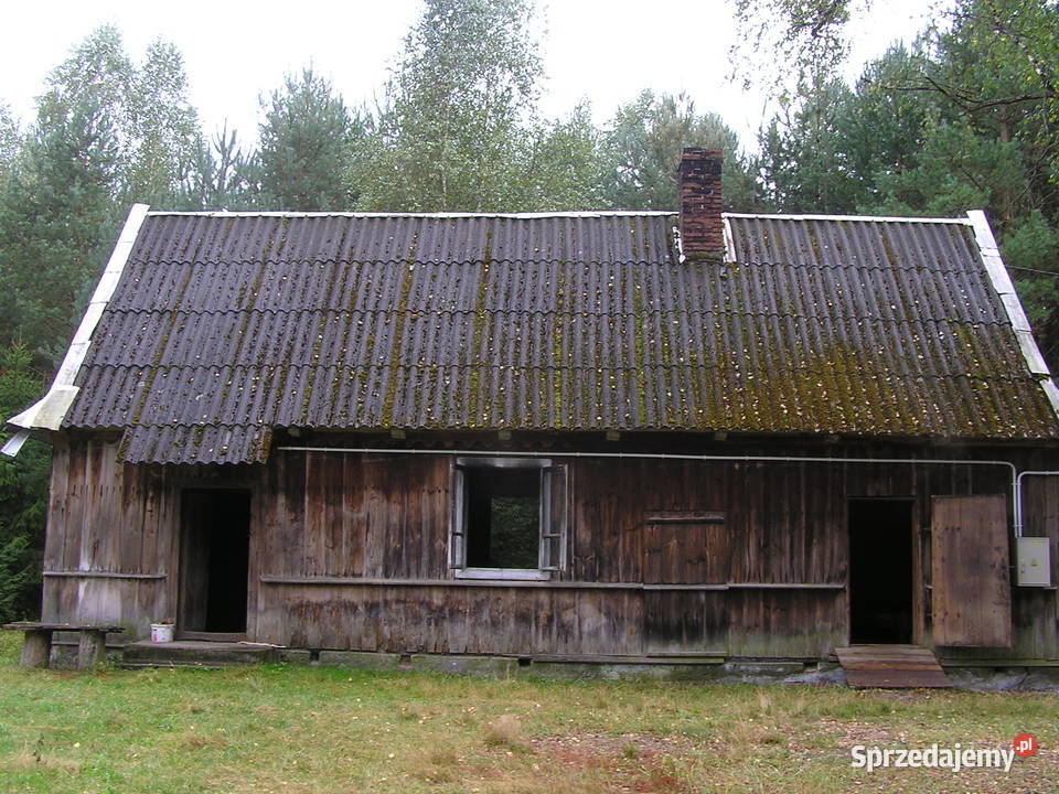 Dom z bala do przeniesienia Holendry sprzedam