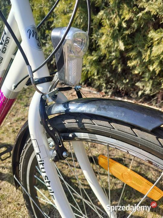 Rower Luna Lizard 26