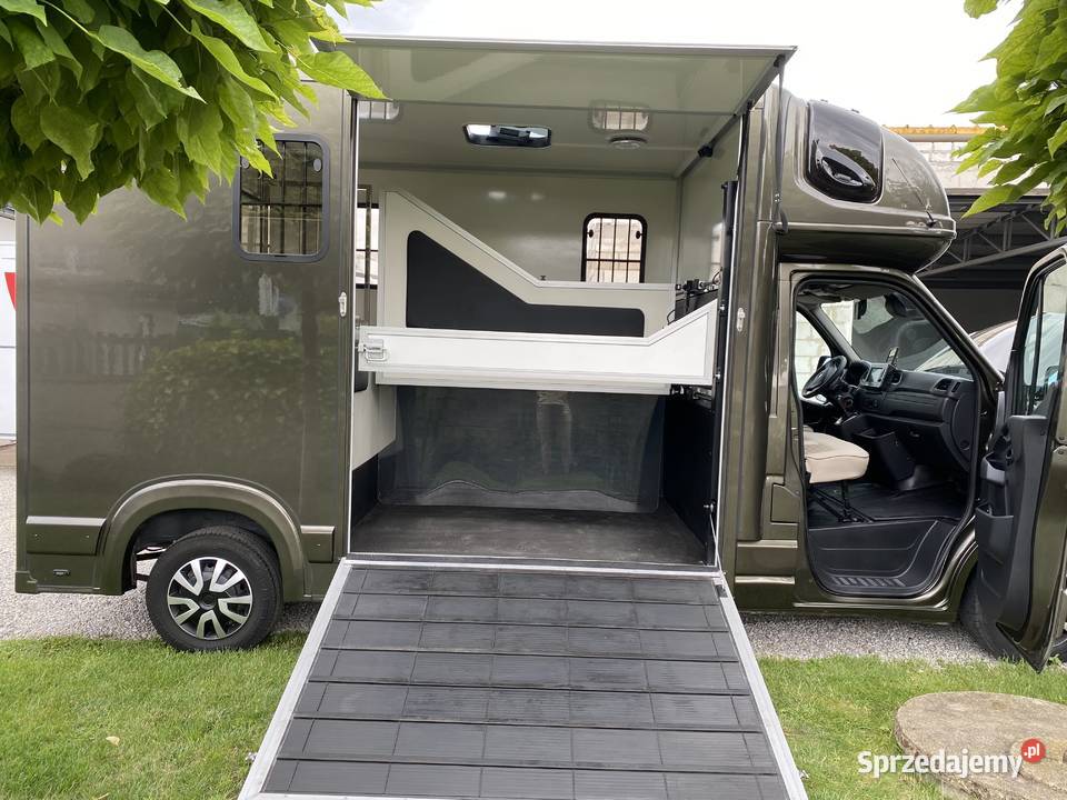 Opel Movano KONIOWÓZ na 2 konie NOWA ZABUDOWA Rok produkcji 2021 Rokietnica