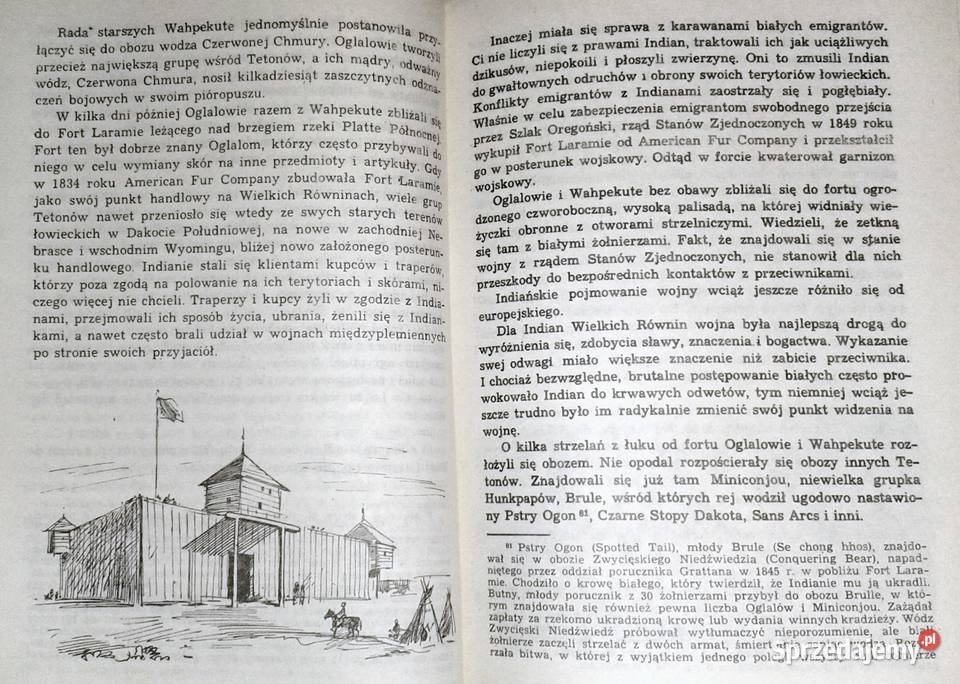 Złoto Gór Czarnych Ostatnia walka Dakotów Tom 3 lubelskie Chełm