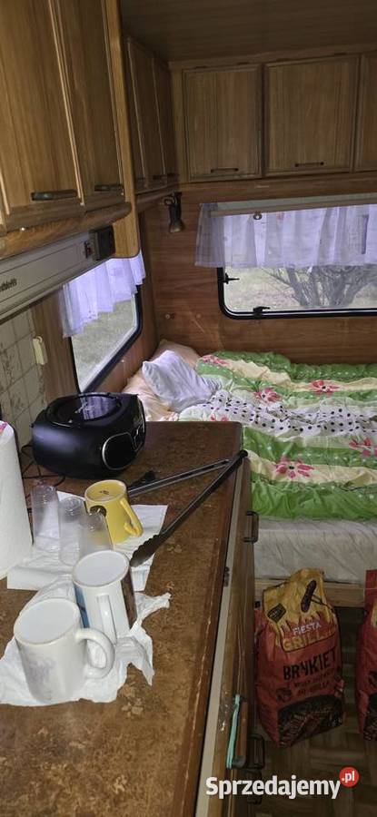 Działka ROD Tulipan Pozostałe Orzysz