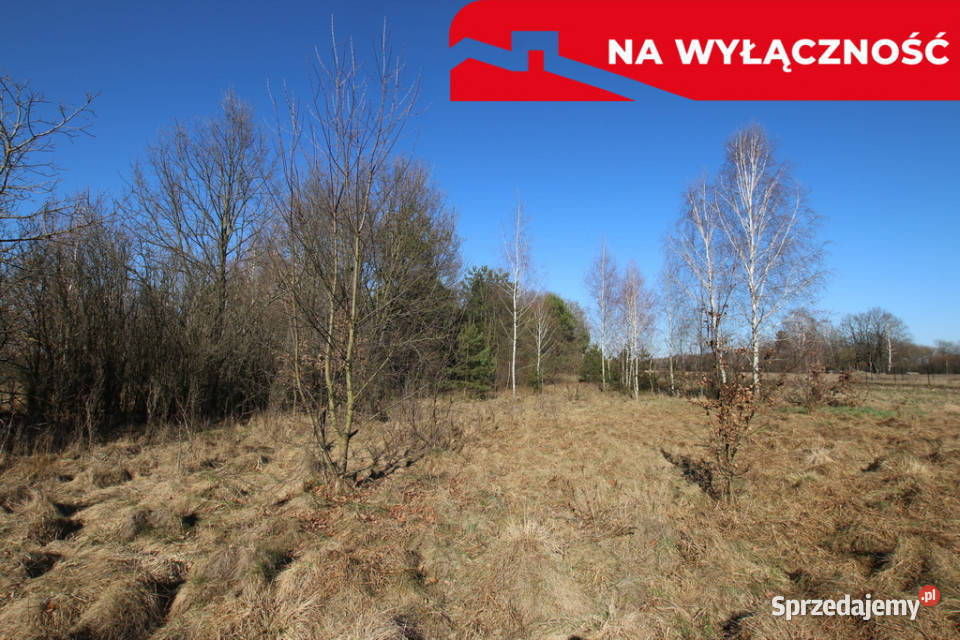 Działka rolnobudow Wola Mieczysławska gLubartów