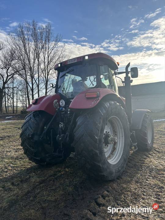 Case IH puma 195 cvx Radio Łysakowo sprzedam