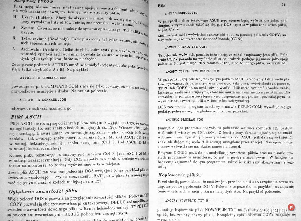 MSDOS 5 Pomysły i zastosowania Daniel Rouge Chełm