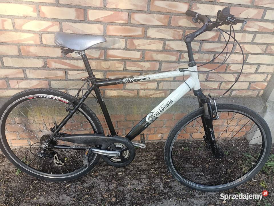 Rower Caledonia koła 28 Trekkingowe Toruń