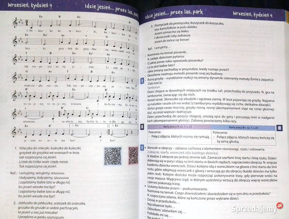 Nasza bajka BB Przewodnik metodyczny Cz 1 lubelskie Chełm sprzedam