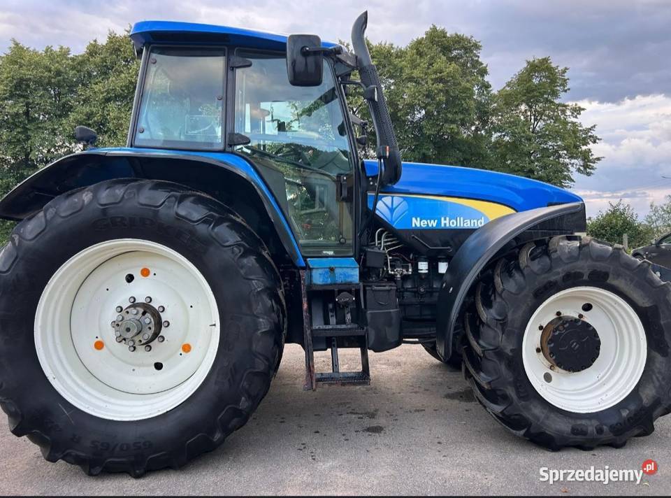 Holand TM190 wielkopolskie Kuczyna