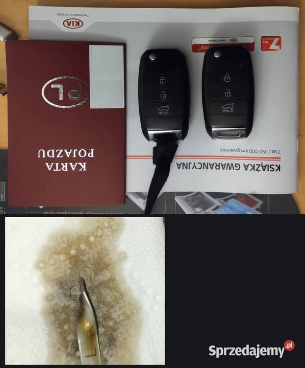 Kia Ceed kia ceed kombi crdi 16 M krajowe 128 przyciemniane szyby