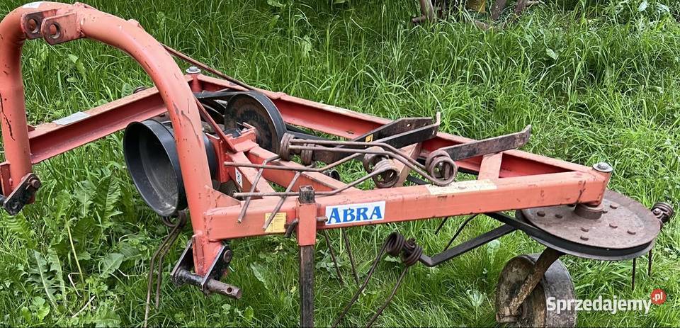 sprzedam pająka podkarpackie Nockowa