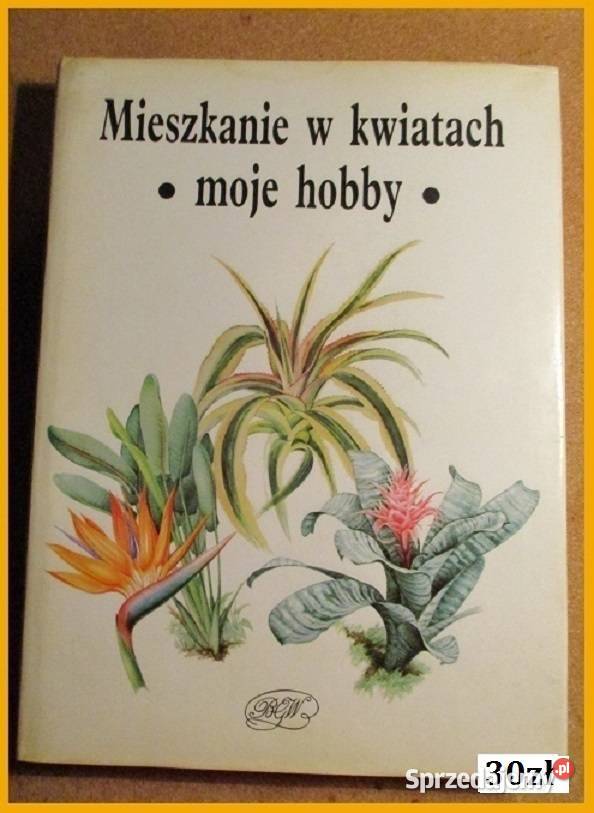 Kwiaty w mieszkaniu Schubert ogród kwiaty Łódź