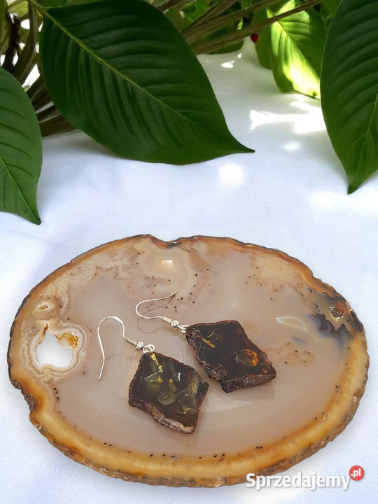 Kolczyki z BURSZTYNU bursztyn bałtycki plaster mazowieckie Warszawa