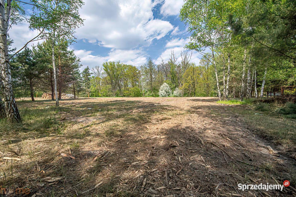 sprzedaży gruntu Brzezinka Średzka 3025m2 3025m2