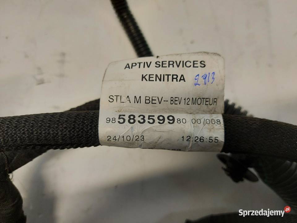 OPEL Grandland II 2024 Wiązka silnika osobowe