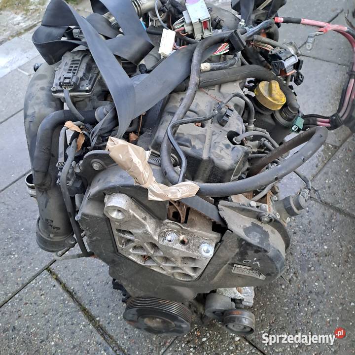 Renault Scenic III 19 DCi silnik kompletny kod śląskie Jastrzębie-Zdrój