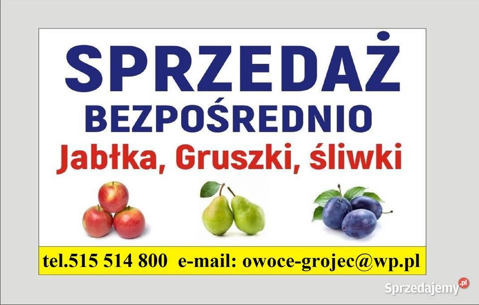 Fartuchy robocze damskie Rates Producent Odzieży Warszawa sprzedam