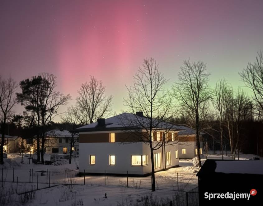 Nowoczesny dom lasu Bezpośrednio
