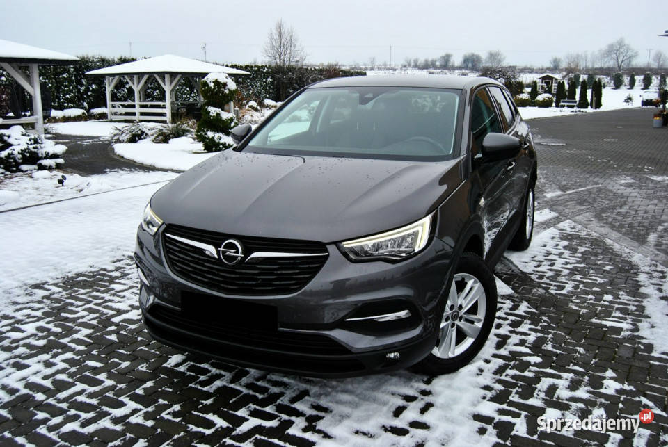 Opel Grandland X Opłacony ASO Android Auto Apple SUV lubelskie Modliborzyce