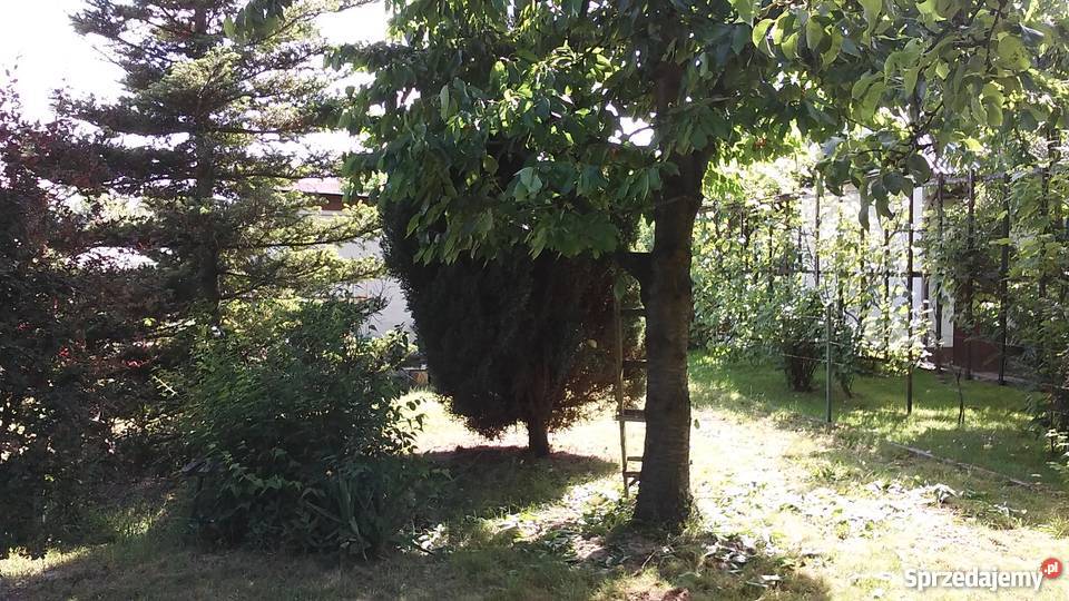 Działka ogrodowa Oława