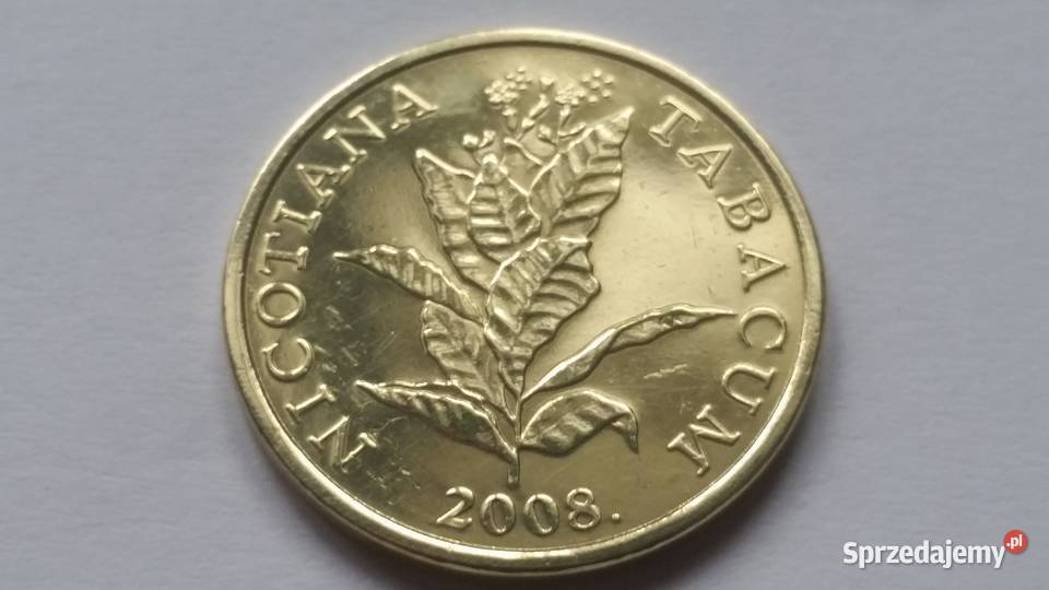 10 LIPA 2008 moneta rzadka niedostępna piękny Numizmatyka Numizmatyka śląskie Suszec