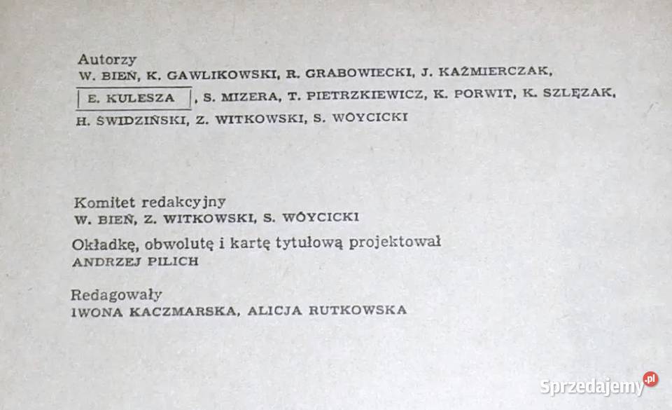 Informator inwestora Z Witkowski S Wóycicki W Chełm
