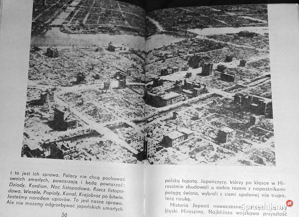 Cztery tygodnie w Japonii Ela i Andrzej Banach twarda z obwolutą Chełm