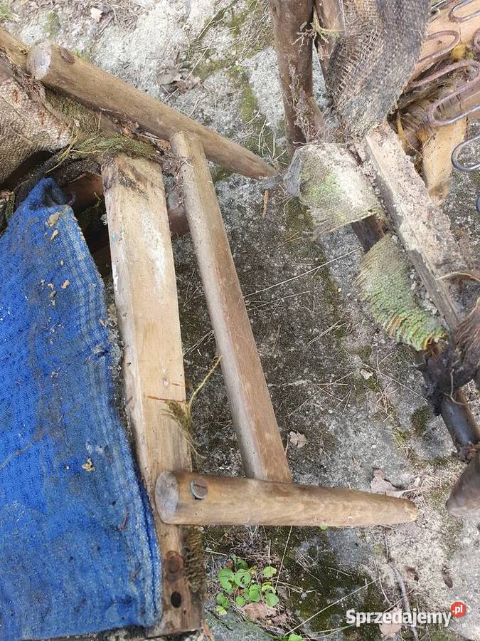 Fotele Celia typ 300227 Krzesła stare antyki Warszawa