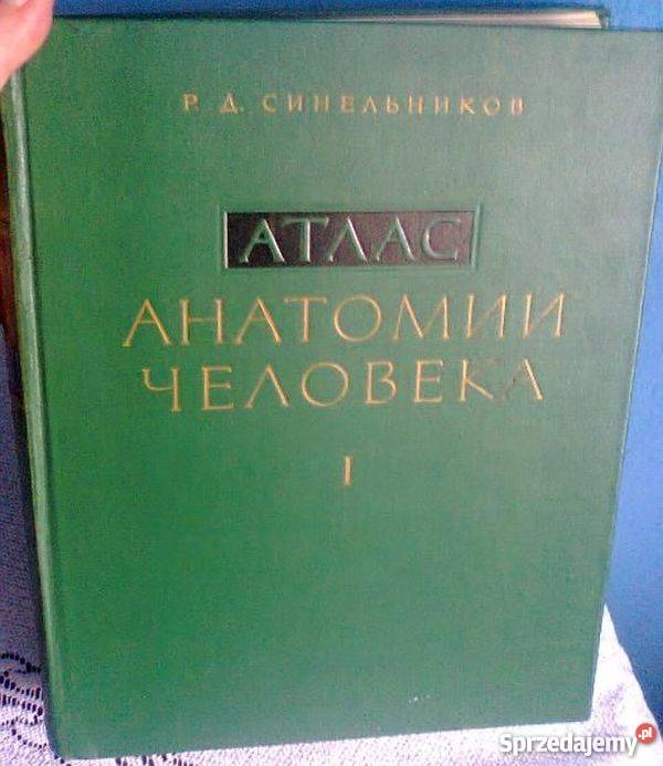 ATLAS ANATOMII CZŁOWIEKA TOM IIII SINIELNIKOW RD Zielona Góra sprzedam