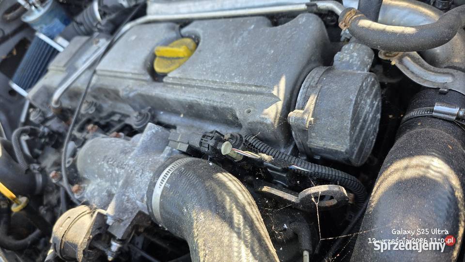 Opel Astra Vectra Zafira 20dti silnik kompletny Chełmno sprzedam