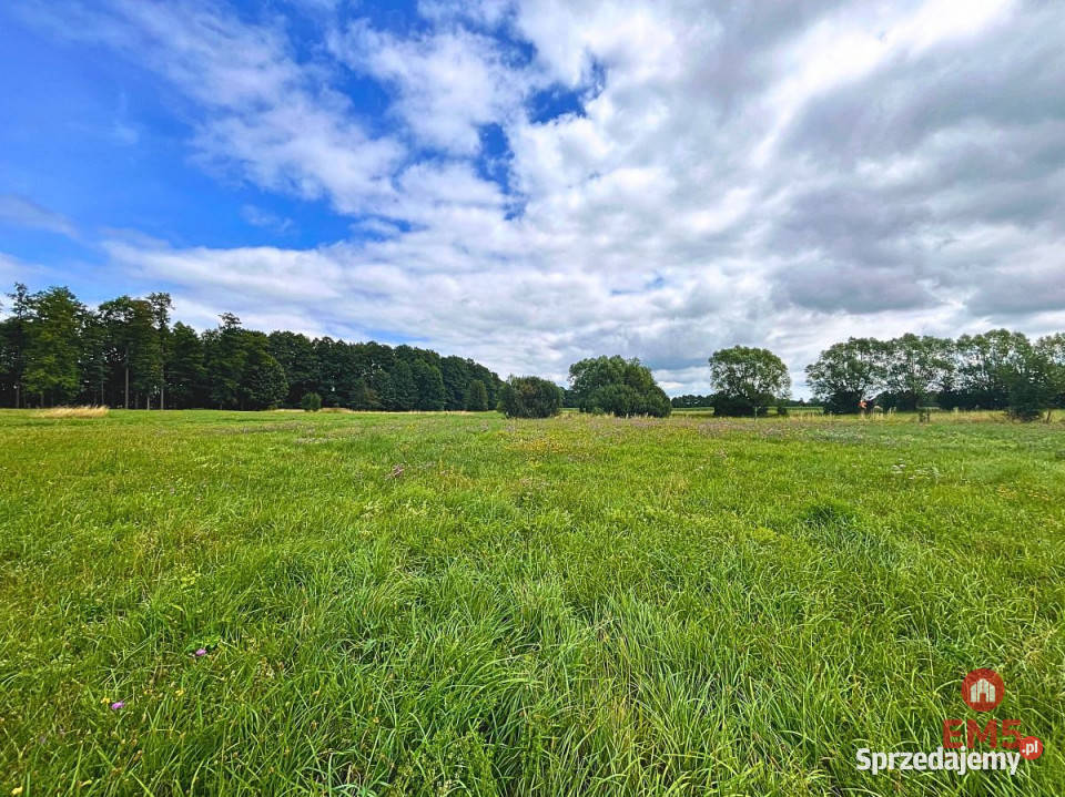 Działka Harsz 5820m2 szambo