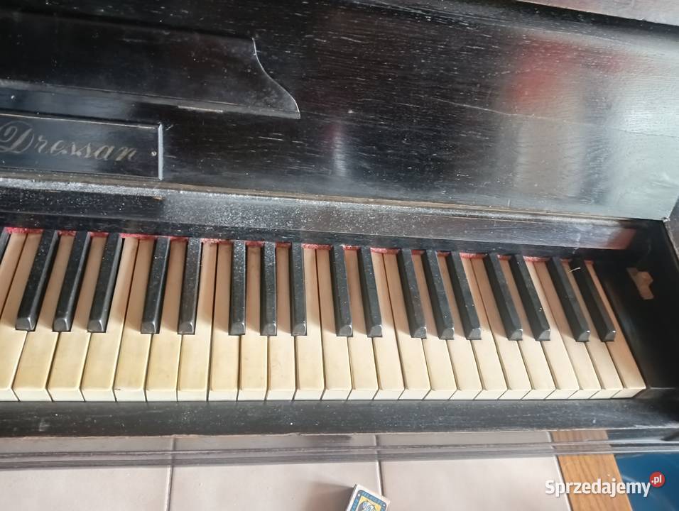 Pianino łódzkie Łódź