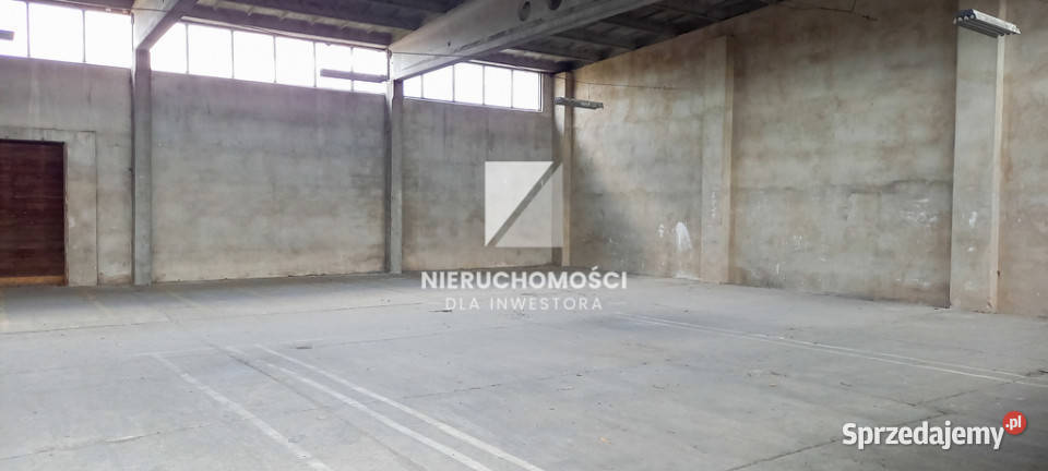 Hala magazynowa 810 m S3 4 bramy rampa lubuskie