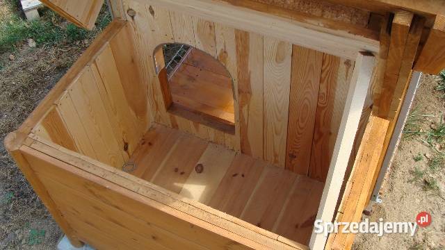 BUDO KOJEC buda kojec boks Skierniewice