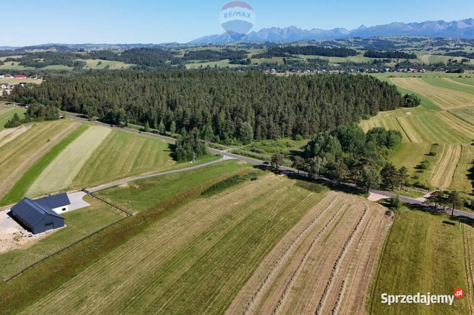 Dzierżawa działki 15 ha w Wróblówce Wynajem