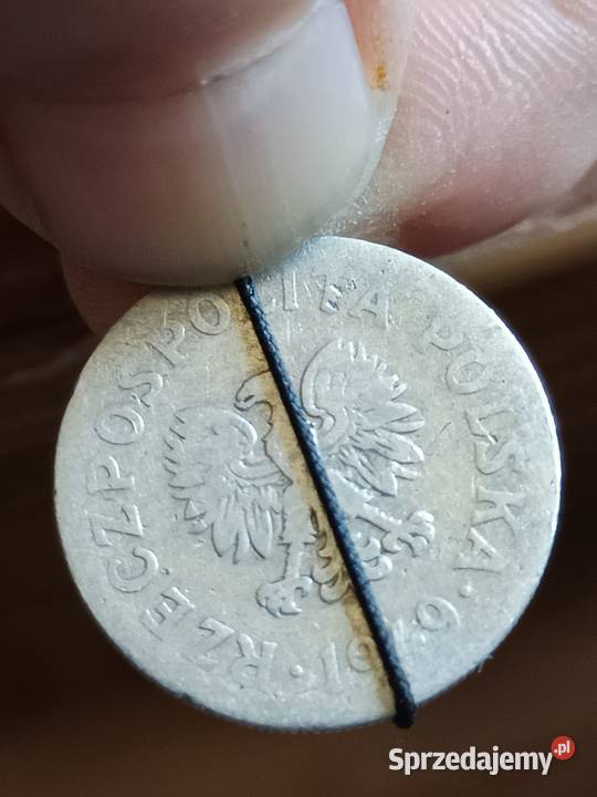 Sprzedam 50 gr 1949 r Chełm