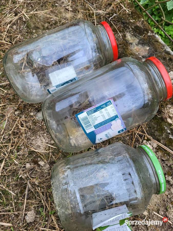 Duże słoiki Kraków