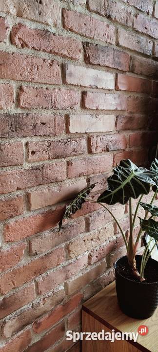Płytki ze starej cegły lico cegły dekor ceglany Płytki elewacyjne Kraków sprzedam