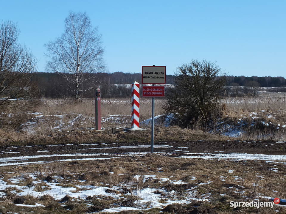 Sprzedam topinambur naturalny podlaskie Ozierany Małe sprzedam