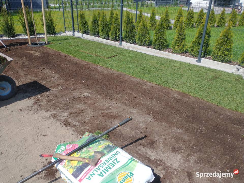 Niwelacja terenu zakładanie trawnikówprace Wrocław