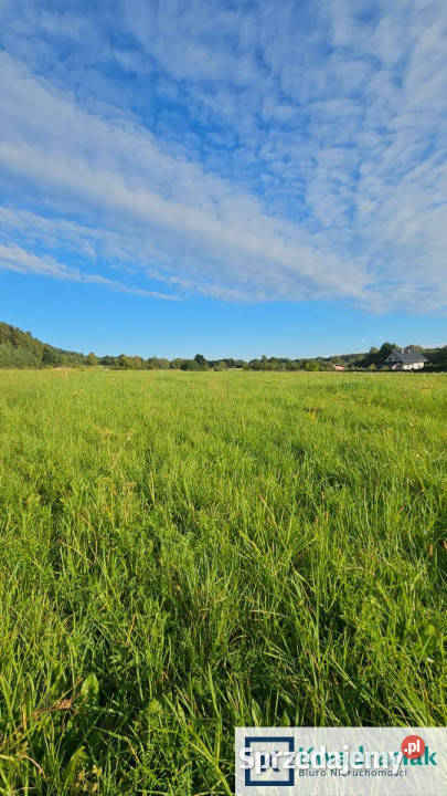 Sprzedam działka 1379 metrów Bykowce Piaskowa prąd podkarpackie sprzedam