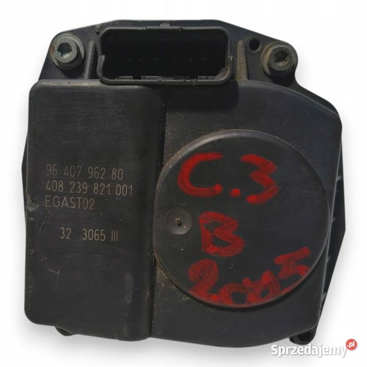 PRZEPUSTNICA Citroen C3 C2 Peugeot 206 207 14 Przepustnice Chełm