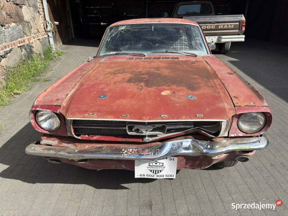 Ford Mustang Ford Mustang Coupe 094 1965 UCode Sulechów