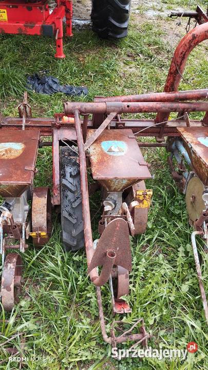 Siewnik do buraków Siewniki i sadzarki Siewniki i sadzarki Kosina