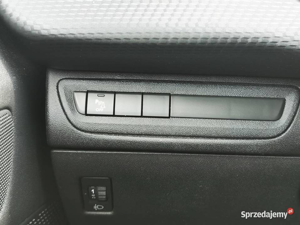 Style Manual Facelifting 12 Benzyna 82 Przebieg 208 Warszawa