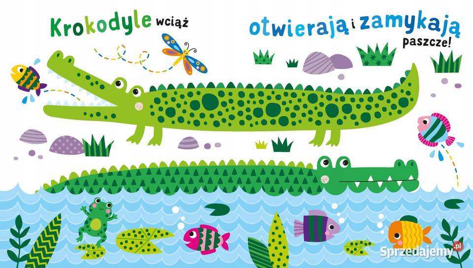 Sensoksiążka SAFARI Korolkiewicz Elżbieta 10 lubelskie Lublin