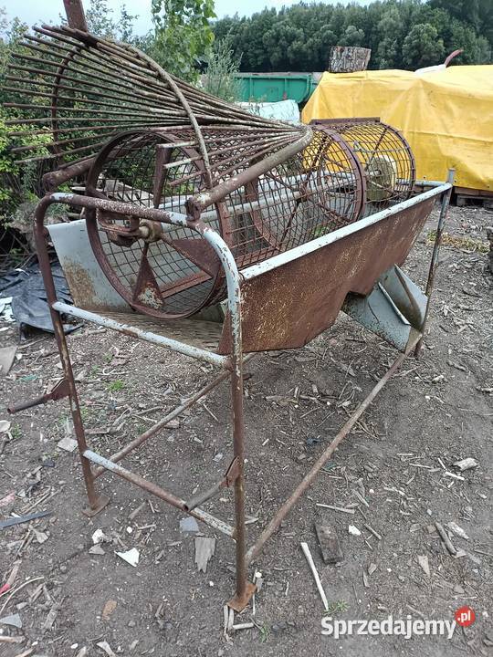 Sortownik do ziemniaków łódzkie Wadlew