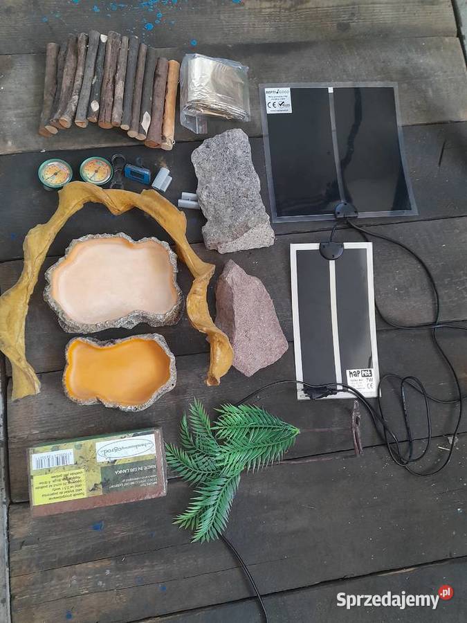 wyposażenie terrarium graty gada miseczki