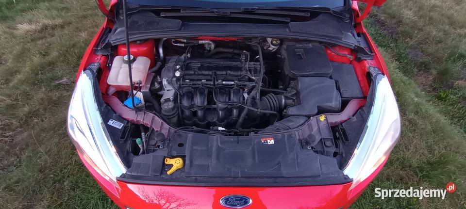 Ford Focus 16 B Trend Ocieka sprzedam