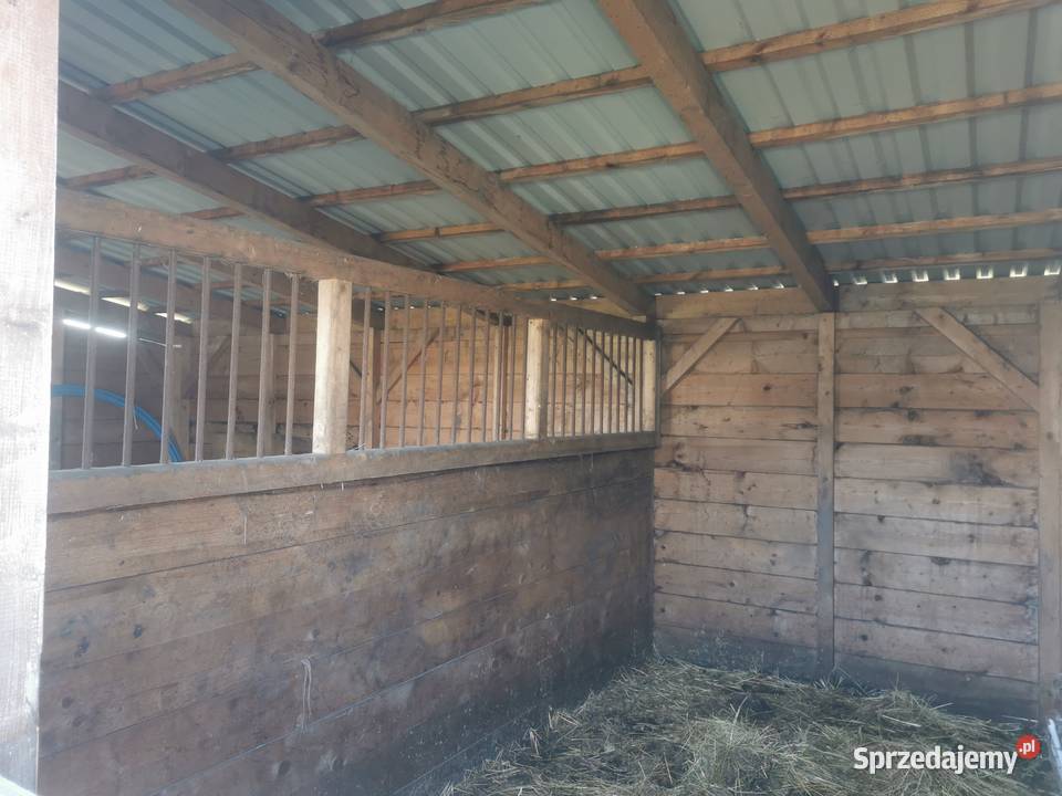 Stajnia angielska dwuboksowa Strzelce Opolskie