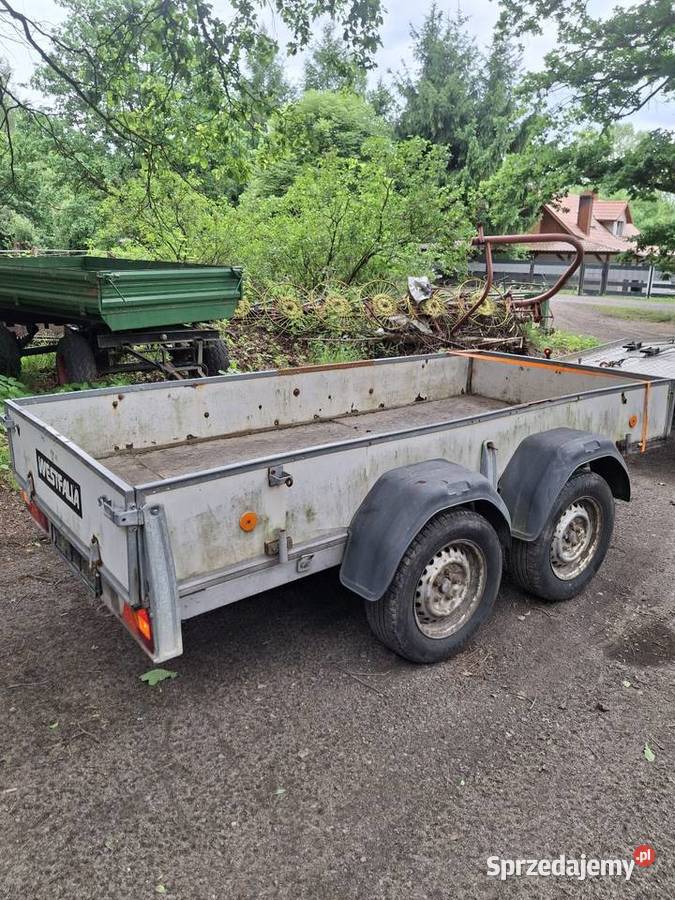 Przyczepa dwuosiowa westfalia 300x140 Krosno Odrzańskie