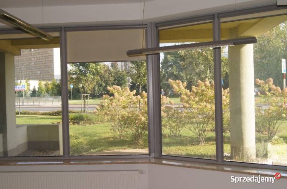 Bezpośrednio lokal użytkowy wynajmę 335 m2